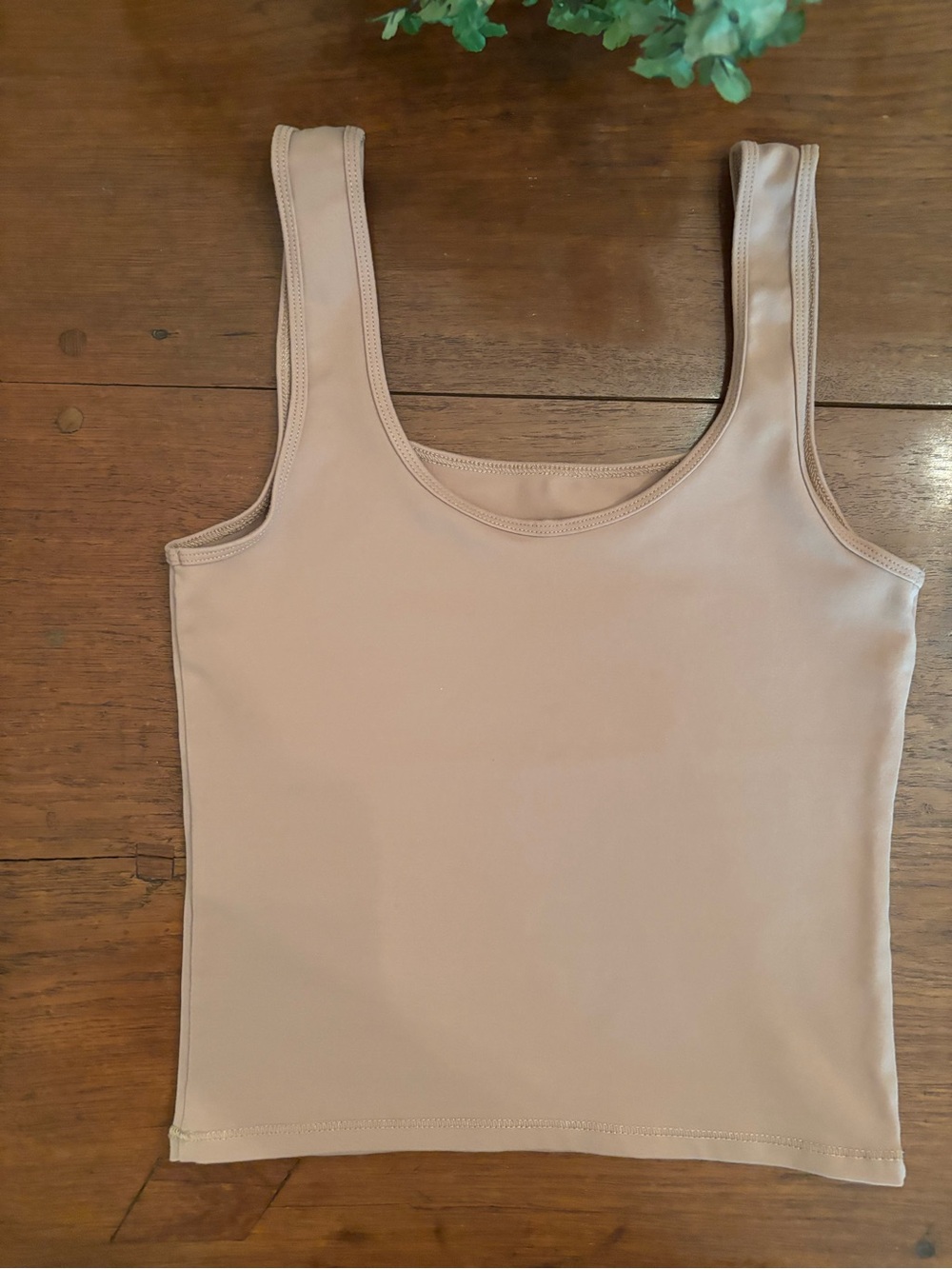 Abercrombie & Fitch Women's Crop Top Scoop-Neck Tan Size XS. LIKE NEW!